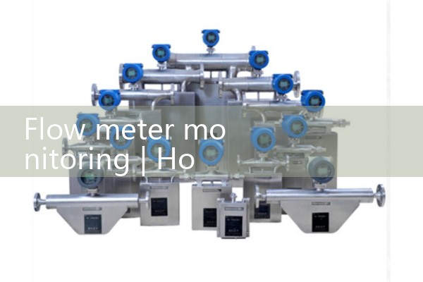 How much does a Doppler flowmeter cost